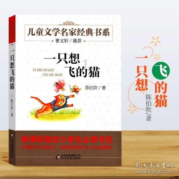 时尚可爱的准妈妈